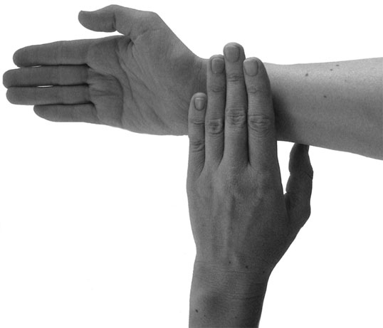 Иллюстрация к книге — Большой самоучитель исцеляющих точек. Подробный атлас, приемы и упражнения [i_018.jpg]