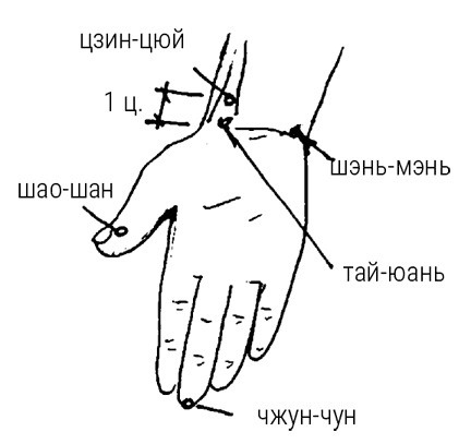 Иллюстрация к книге — Большой самоучитель исцеляющих точек. Подробный атлас, приемы и упражнения [i_024.jpg]