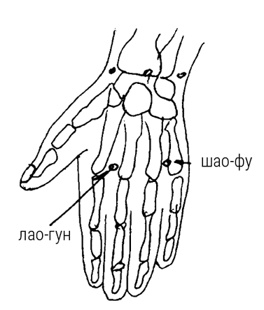 Иллюстрация к книге — Большой самоучитель исцеляющих точек. Подробный атлас, приемы и упражнения [i_025.jpg]