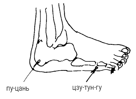 Иллюстрация к книге — Большой самоучитель исцеляющих точек. Подробный атлас, приемы и упражнения [i_030.jpg]