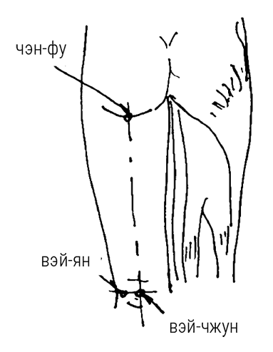 Иллюстрация к книге — Большой самоучитель исцеляющих точек. Подробный атлас, приемы и упражнения [i_032.jpg]