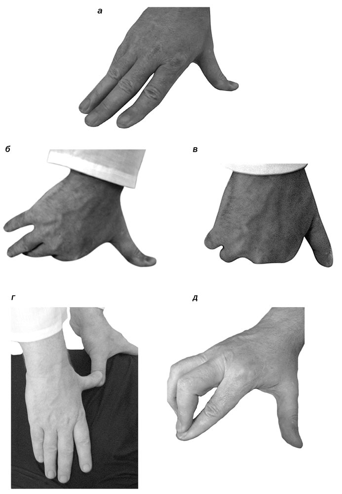 Иллюстрация к книге — Большой самоучитель исцеляющих точек. Подробный атлас, приемы и упражнения [i_034.jpg]