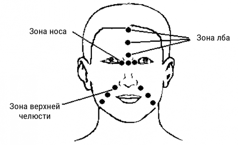 Иллюстрация к книге — Большой самоучитель исцеляющих точек. Подробный атлас, приемы и упражнения [i_037.jpg]