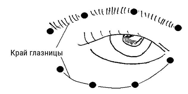 Иллюстрация к книге — Большой самоучитель исцеляющих точек. Подробный атлас, приемы и упражнения [i_039.jpg]