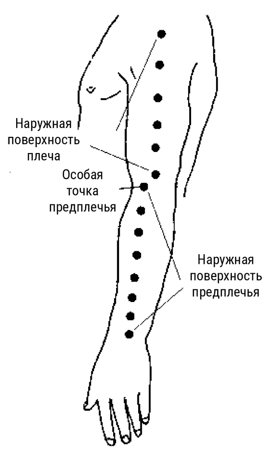 Иллюстрация к книге — Большой самоучитель исцеляющих точек. Подробный атлас, приемы и упражнения [i_048.jpg]