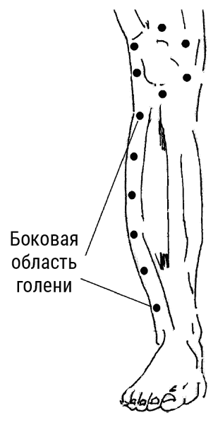 Иллюстрация к книге — Большой самоучитель исцеляющих точек. Подробный атлас, приемы и упражнения [i_054.jpg]