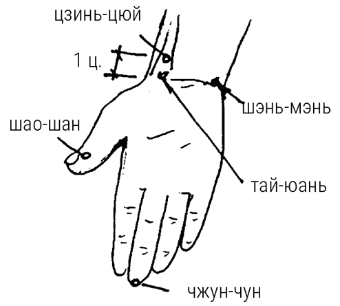 Иллюстрация к книге — Большой самоучитель исцеляющих точек. Подробный атлас, приемы и упражнения [i_072.jpg]