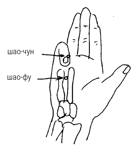 Иллюстрация к книге — Большой самоучитель исцеляющих точек. Подробный атлас, приемы и упражнения [i_073.jpg]