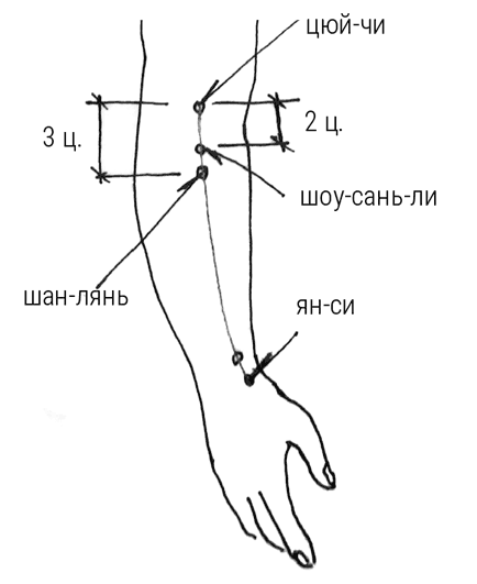 Иллюстрация к книге — Большой самоучитель исцеляющих точек. Подробный атлас, приемы и упражнения [i_074.jpg]