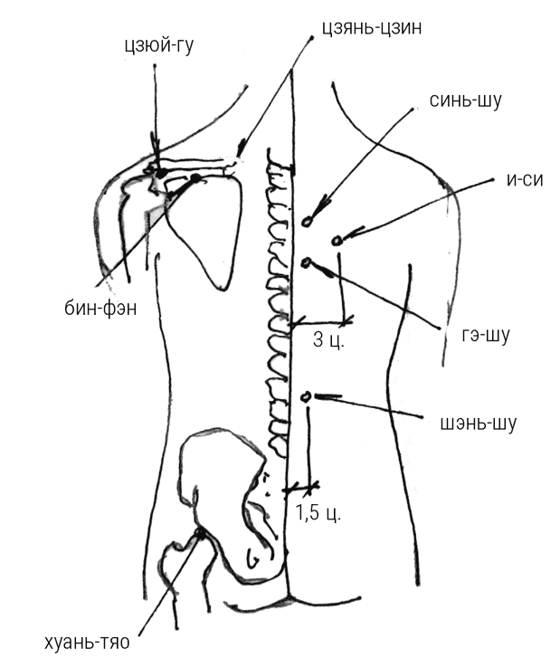 Иллюстрация к книге — Большой самоучитель исцеляющих точек. Подробный атлас, приемы и упражнения [i_077.jpg]