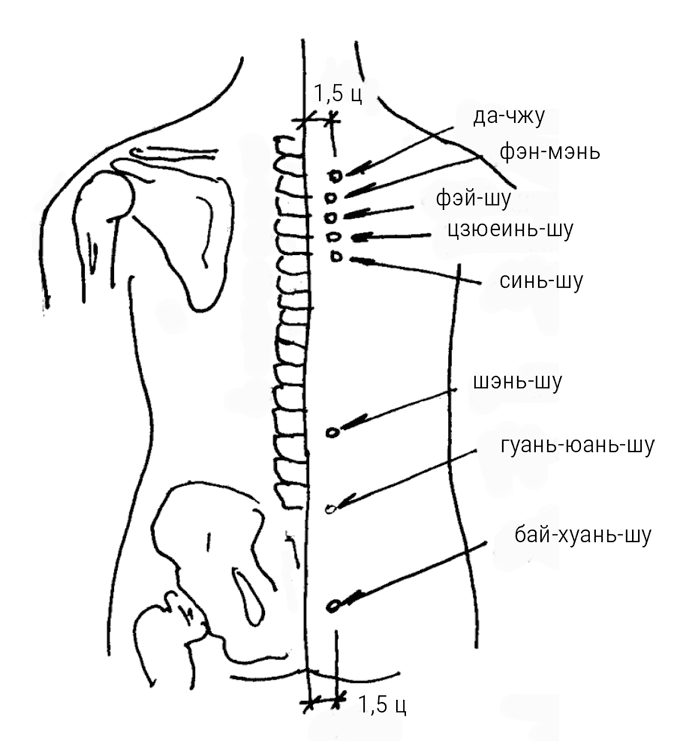 Иллюстрация к книге — Большой самоучитель исцеляющих точек. Подробный атлас, приемы и упражнения [i_079.jpg]