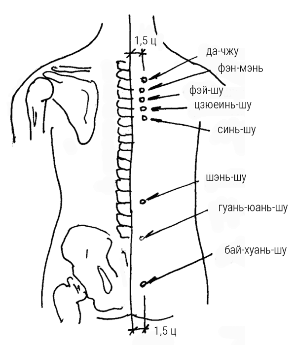 Иллюстрация к книге — Большой самоучитель исцеляющих точек. Подробный атлас, приемы и упражнения [i_090.jpg]