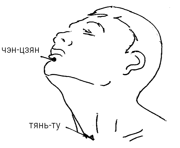 Иллюстрация к книге — Большой самоучитель исцеляющих точек. Подробный атлас, приемы и упражнения [i_095.jpg]