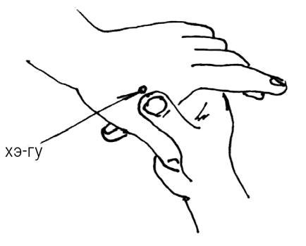 Иллюстрация к книге — Большой самоучитель исцеляющих точек. Подробный атлас, приемы и упражнения [i_099.jpg]