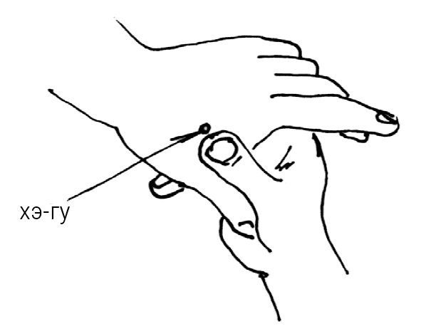 Иллюстрация к книге — Большой самоучитель исцеляющих точек. Подробный атлас, приемы и упражнения [i_102.jpg]