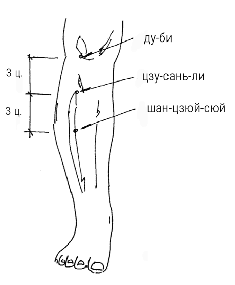 Иллюстрация к книге — Большой самоучитель исцеляющих точек. Подробный атлас, приемы и упражнения [i_103.jpg]