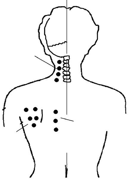 Иллюстрация к книге — Большой самоучитель исцеляющих точек. Подробный атлас, приемы и упражнения [i_107.jpg]