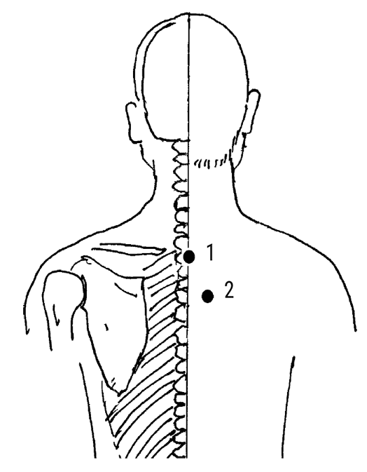 Иллюстрация к книге — Большой самоучитель исцеляющих точек. Подробный атлас, приемы и упражнения [i_110.jpg]