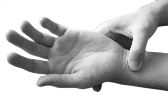 Иллюстрация к книге — Большой самоучитель исцеляющих точек. Подробный атлас, приемы и упражнения [i_116.jpg]