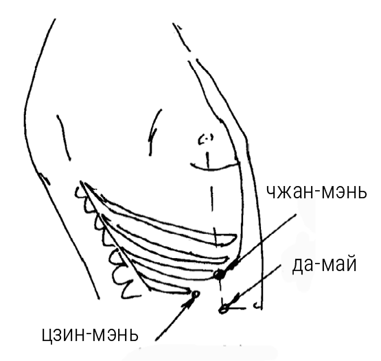 Иллюстрация к книге — Большой самоучитель исцеляющих точек. Подробный атлас, приемы и упражнения [i_119.jpg]