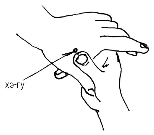 Иллюстрация к книге — Большой самоучитель исцеляющих точек. Подробный атлас, приемы и упражнения [i_121.jpg]