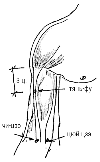 Иллюстрация к книге — Большой самоучитель исцеляющих точек. Подробный атлас, приемы и упражнения [i_122.jpg]