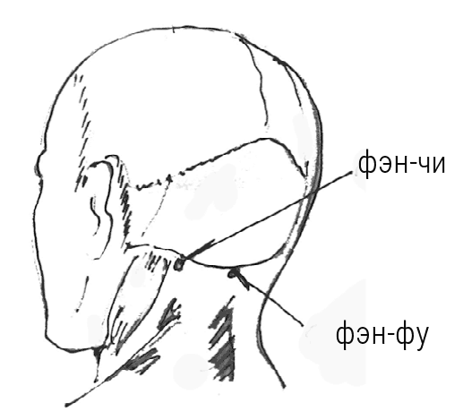 Иллюстрация к книге — Большой самоучитель исцеляющих точек. Подробный атлас, приемы и упражнения [i_130.jpg]