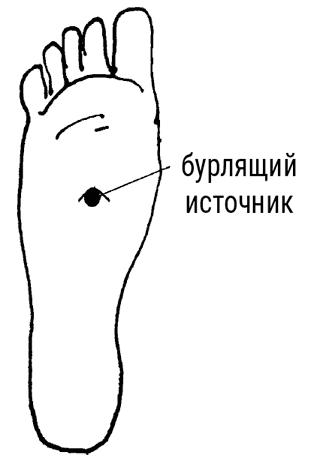 Иллюстрация к книге — Большой самоучитель исцеляющих точек. Подробный атлас, приемы и упражнения [i_134.jpg]