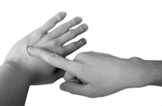 Иллюстрация к книге — Большой самоучитель исцеляющих точек. Подробный атлас, приемы и упражнения [i_137.jpg]