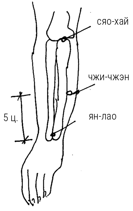 Иллюстрация к книге — Большой самоучитель исцеляющих точек. Подробный атлас, приемы и упражнения [i_138.jpg]