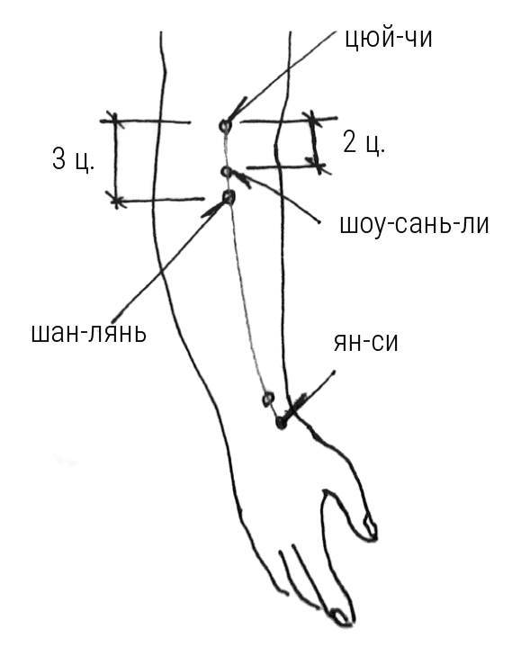Иллюстрация к книге — Большой самоучитель исцеляющих точек. Подробный атлас, приемы и упражнения [i_141.jpg]
