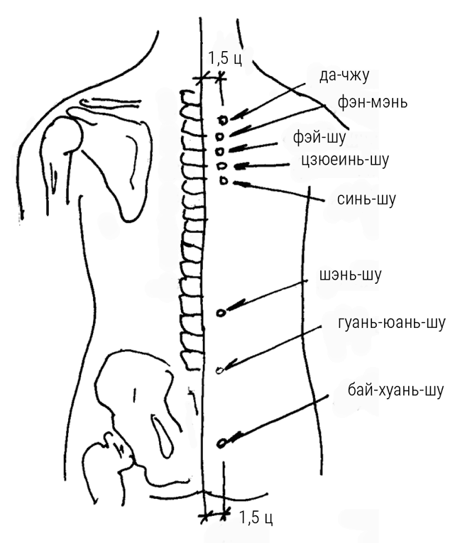 Иллюстрация к книге — Большой самоучитель исцеляющих точек. Подробный атлас, приемы и упражнения [i_143.jpg]