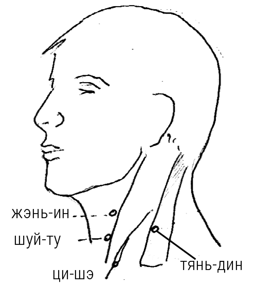 Иллюстрация к книге — Большой самоучитель исцеляющих точек. Подробный атлас, приемы и упражнения [i_148.jpg]