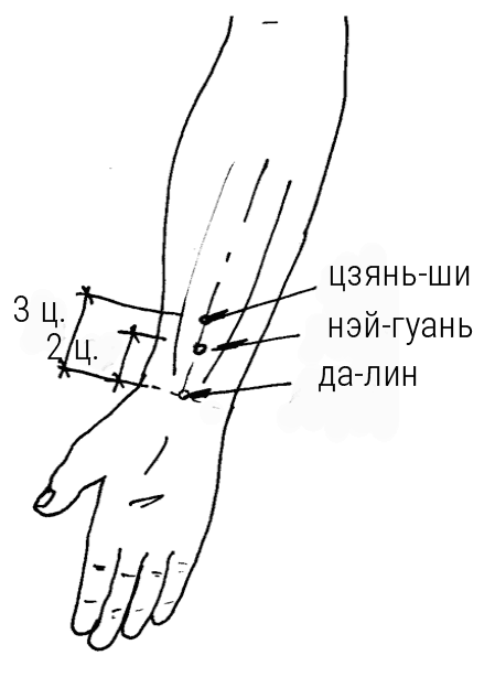 Иллюстрация к книге — Большой самоучитель исцеляющих точек. Подробный атлас, приемы и упражнения [i_149.jpg]