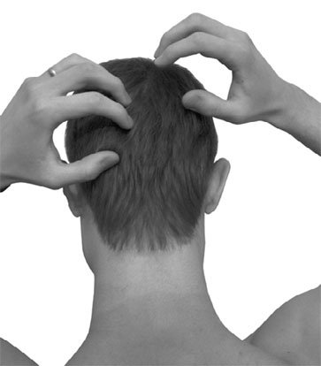 Иллюстрация к книге — Большой самоучитель исцеляющих точек. Подробный атлас, приемы и упражнения [i_151.jpg]