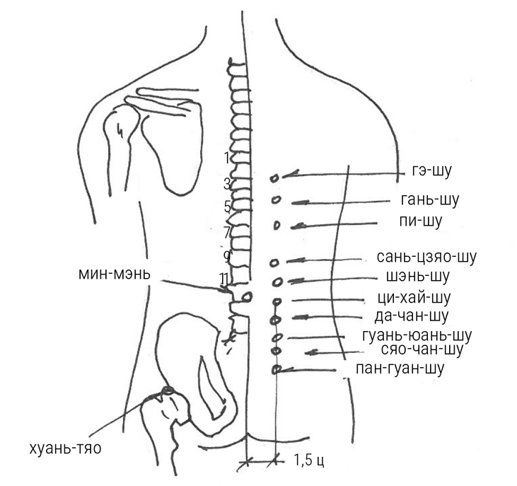 Иллюстрация к книге — Большой самоучитель исцеляющих точек. Подробный атлас, приемы и упражнения [i_156.jpg]