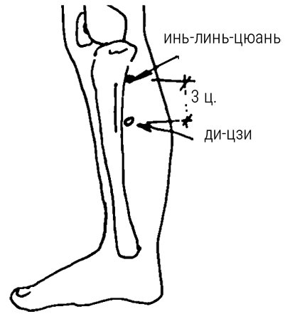 Иллюстрация к книге — Большой самоучитель исцеляющих точек. Подробный атлас, приемы и упражнения [i_157.jpg]