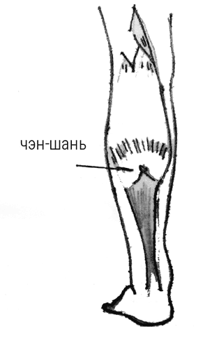Иллюстрация к книге — Большой самоучитель исцеляющих точек. Подробный атлас, приемы и упражнения [i_158.jpg]
