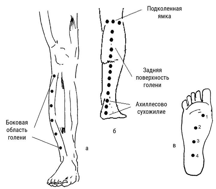 Иллюстрация к книге — Большой самоучитель исцеляющих точек. Подробный атлас, приемы и упражнения [i_162.jpg]