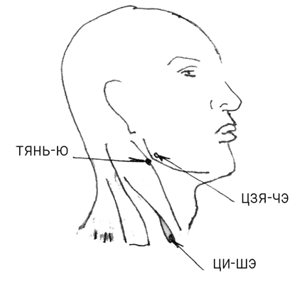 Иллюстрация к книге — Большой самоучитель исцеляющих точек. Подробный атлас, приемы и упражнения [i_164.jpg]