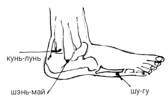 Иллюстрация к книге — Большой самоучитель исцеляющих точек. Подробный атлас, приемы и упражнения [i_191.jpg]