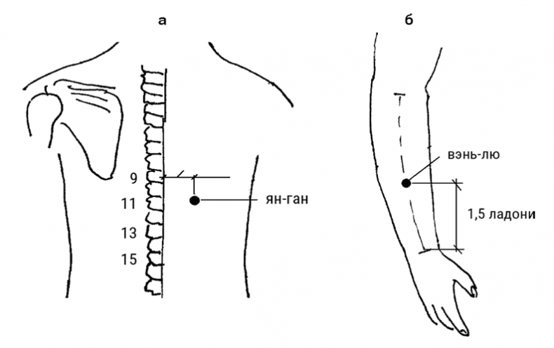 Иллюстрация к книге — Большой самоучитель исцеляющих точек. Подробный атлас, приемы и упражнения [i_197.jpg]