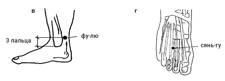 Иллюстрация к книге — Большой самоучитель исцеляющих точек. Подробный атлас, приемы и упражнения [i_198.jpg]