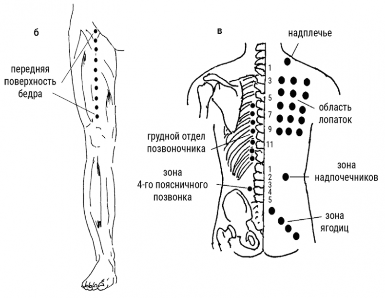 Иллюстрация к книге — Большой самоучитель исцеляющих точек. Подробный атлас, приемы и упражнения [i_200.jpg]