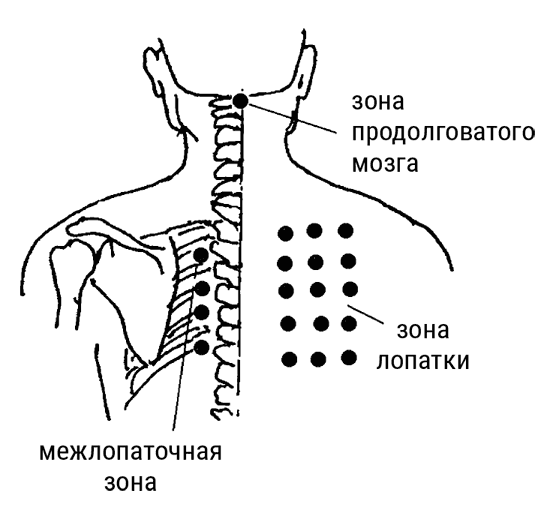 Иллюстрация к книге — Большой самоучитель исцеляющих точек. Подробный атлас, приемы и упражнения [i_202.jpg]