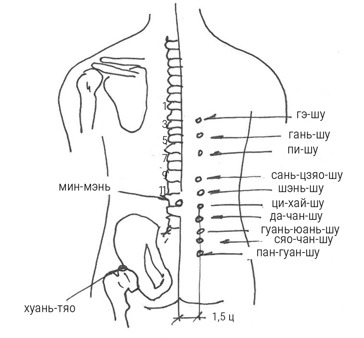 Иллюстрация к книге — Большой самоучитель исцеляющих точек. Подробный атлас, приемы и упражнения [i_215.jpg]