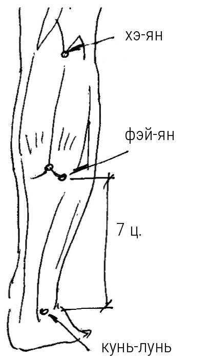 Иллюстрация к книге — Большой самоучитель исцеляющих точек. Подробный атлас, приемы и упражнения [i_230.jpg]