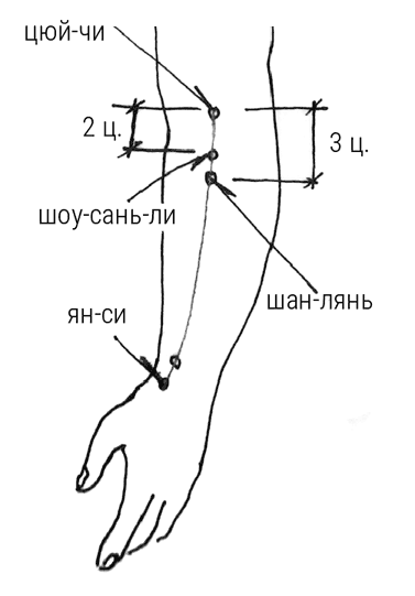 Иллюстрация к книге — Большой самоучитель исцеляющих точек. Подробный атлас, приемы и упражнения [i_233.jpg]