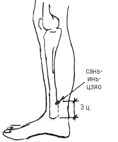 Иллюстрация к книге — Большой самоучитель исцеляющих точек. Подробный атлас, приемы и упражнения [i_234.jpg]