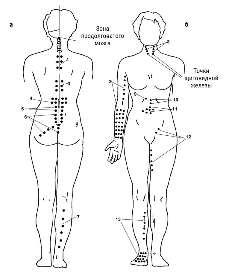 Иллюстрация к книге — Большой самоучитель исцеляющих точек. Подробный атлас, приемы и упражнения [i_237.jpg]